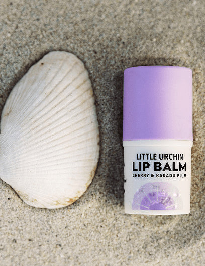 Little Urchin Cherry & Kakadu Plum Lip Balm 4g: the cherry and Kakadu plum lip balm on sand beside a shell.