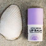 Little Urchin cherry lip balm styled on sand with a shell