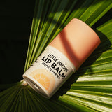 Little Urchin tropical pawpaw lip balm styled on a palm leaf