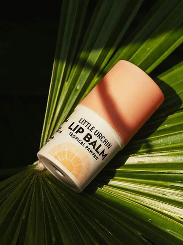 Little Urchin tropical pawpaw lip balm styled on a palm leaf