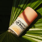 Little Urchin Tropical Pawpaw Lip Balm 4g: the tropical pawpaw lip balm resting on a green palm leaf.
