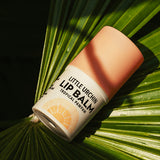 Little Urchin Tropical Pawpaw Lip Balm 4g: the tropical pawpaw lip balm resting on a green palm leaf.