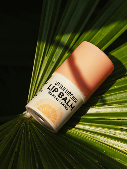 Little Urchin Tropical Pawpaw Lip Balm 4g: the tropical pawpaw lip balm resting on a green palm leaf.