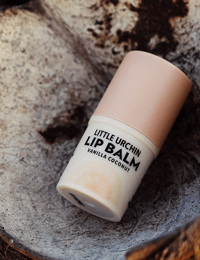 Little Urchin Vanilla Coconut Lip Balm 4g: the vanilla coconut lip balm resting inside a coconut shell.