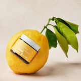 Original Tallow Balm styled with fresh lemon – Thrive Tallow Original Tallow Balm Scented 70ml