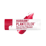 Overhead view of Hurraw! Rouge à Lèvres Plantcolor No 1 4.8g
