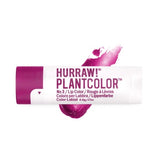 Overhead view of Hurraw! Rouge à Lèvres Plantcolor No 3 4.8g