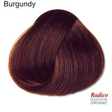 Rounded teardrop-shaped tuft of smooth, dark plum-red hair beneath the shade name Burgundy, with the Radico Colour Me Organic logo at the lower right.