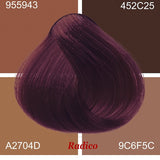 Radico Violet hair swatch in a deep plum-purple shade, laid over four tan and brown colour blocks labelled with codes, with the shade name beneath.