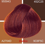 Radico Wine Red hair swatch in a deep red shade with copper-red highlights, laid over four tan and brown colour blocks labelled with codes, with the shade name beneath.