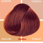 Radico Wine Red hair swatch in a deep red shade with copper-red highlights, laid over four peach, beige and tan colour blocks labelled with codes, with the shade name beneath.