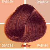 Radico Wine Red hair swatch in a deep red shade with copper-red highlights, laid over four peach, beige and tan colour blocks labelled with codes, with the shade name beneath.