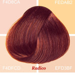 Radico Wine Red hair swatch in a deep red shade with copper-red highlights, laid over four pale peach and cream colour blocks labelled with codes, with the shade name beneath.