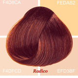 Radico Wine Red hair swatch in a deep red shade with copper-red highlights, laid over four pale peach and cream colour blocks labelled with codes, with the shade name beneath.