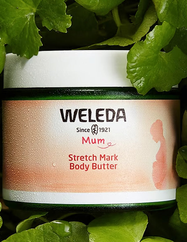 Weleda Stretch Mark Body Butter jar surrounded by green centella asiatica leaves.