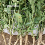 Ashwagandha root ingredient used in SuperFeast capsules