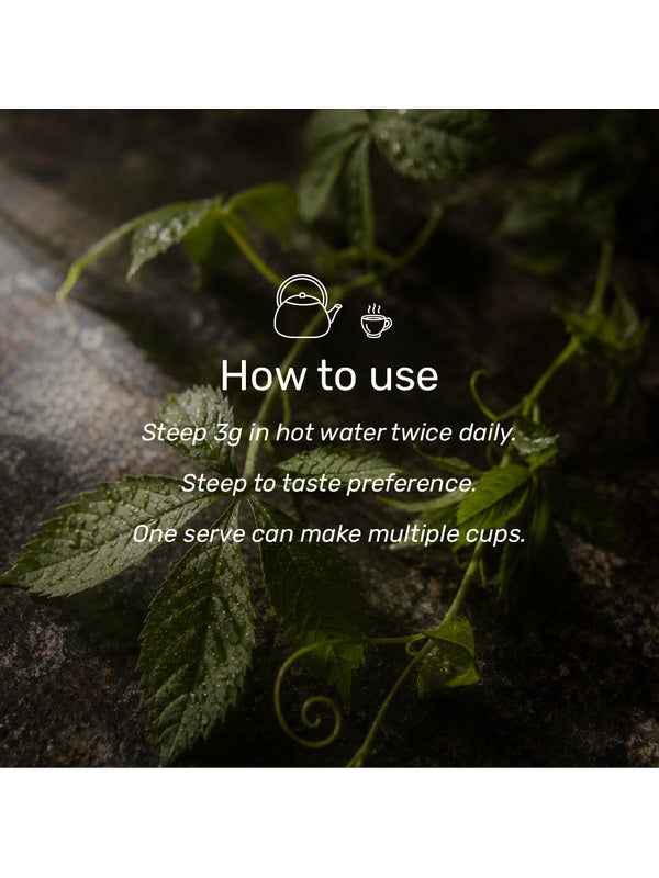 How to steep and serve SuperFeast Gynostemma Tea