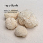 Whole Lion's Mane mushrooms and ingredient information