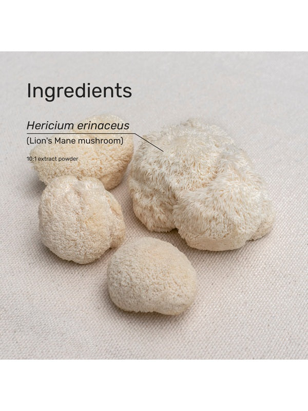 Whole Lion's Mane mushrooms and ingredient information