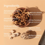 Medicinal mushrooms in the Mason's Mushrooms blend