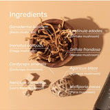 Medicinal mushrooms in the Mason's Mushrooms blend