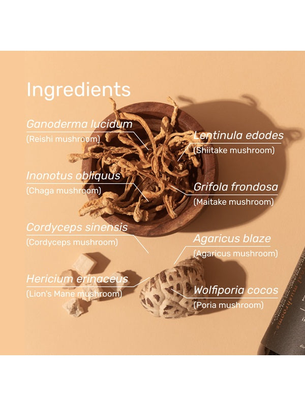 Medicinal mushrooms in the Mason's Mushrooms blend