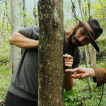 SuperFeast team inspecting mushrooms in a forest