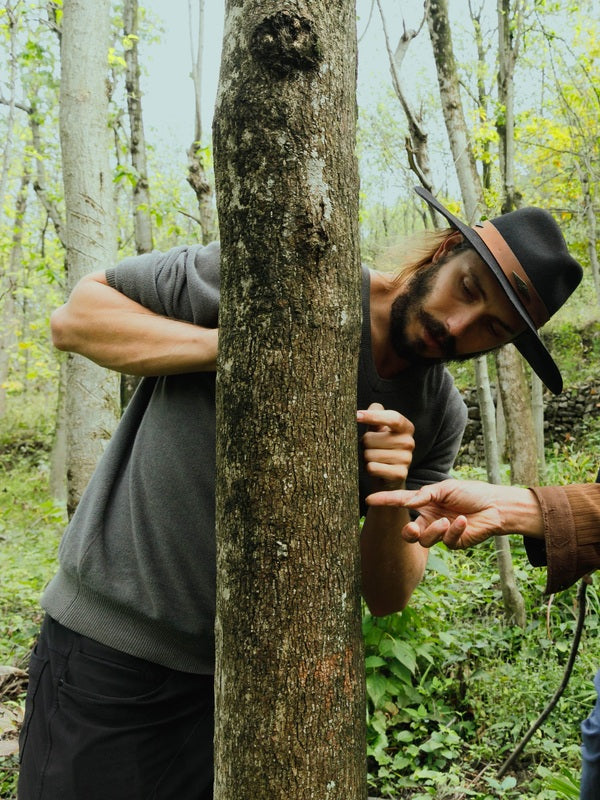 SuperFeast team inspecting mushrooms in a forest
