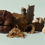 Selection of whole medicinal mushrooms and tonic herbs