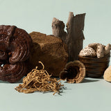 Selection of whole medicinal mushrooms and tonic herbs