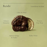Superfeast Reishi sits on a light green background, highlighting benefits: immune support, calming the mind, boosting energy and vitality, reducing stress, and promoting deep sleep. Its scientific name is also displayed.