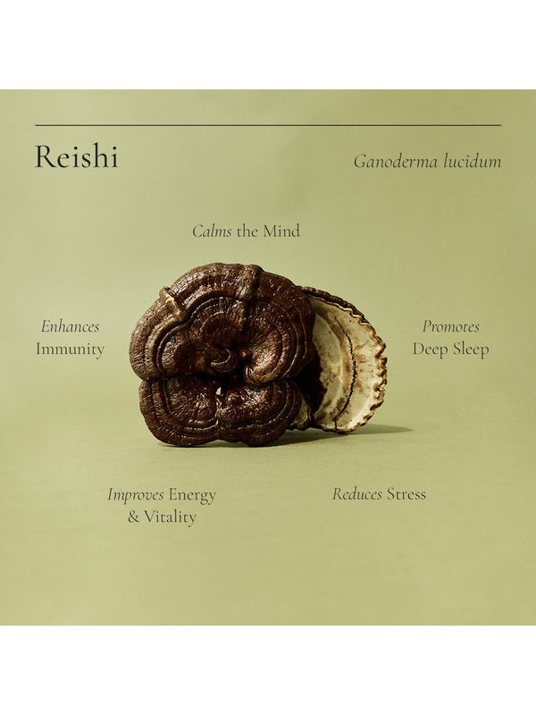 Whole Reishi mushroom with traditional wellness benefits