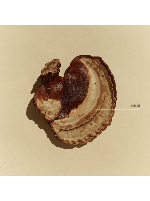 Whole Reishi mushroom ingredient used by SuperFeast