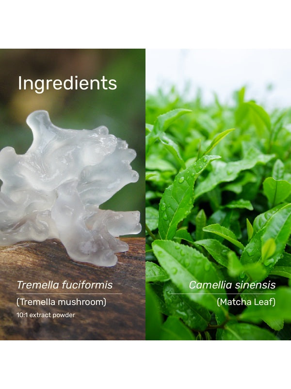 Tremella mushroom and matcha leaf ingredients