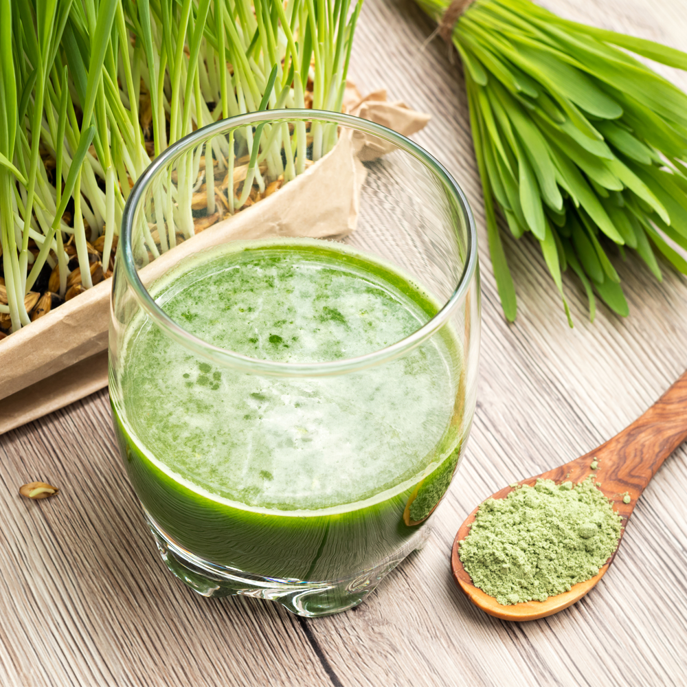 Prepared green barley grass drink with fresh grass and powder