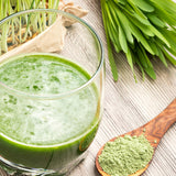 Prepared green barley grass drink with fresh grass and powder