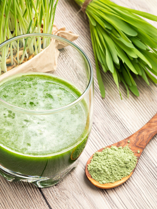 Prepared green barley grass drink with fresh grass and powder