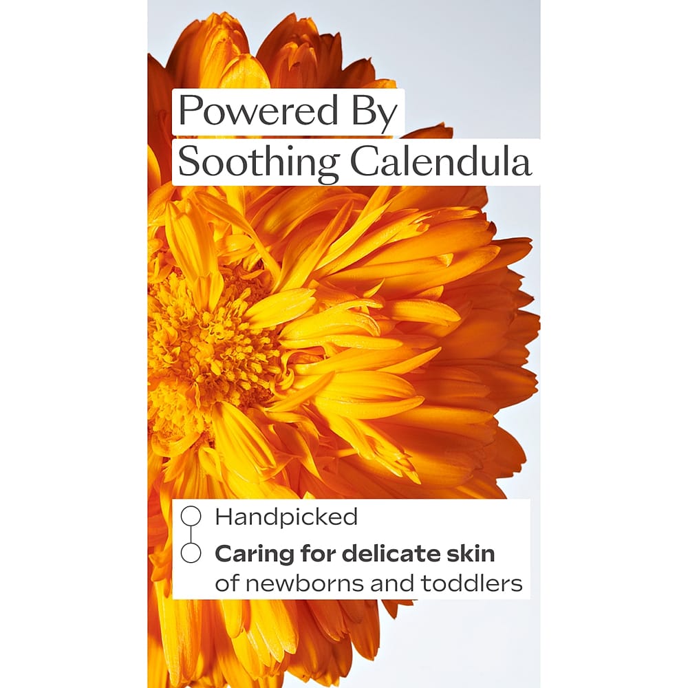 Calendula flower with Weleda baby body cream benefits