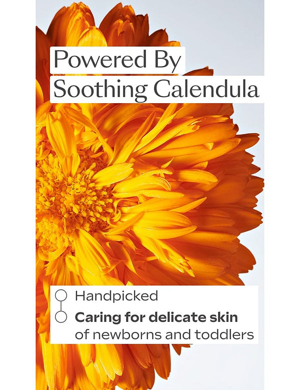Close-up calendula flower graphic for Weleda Calendula Baby Body Cream, with callouts explaining that the calendula is handpicked and cares for delicate newborn and toddler skin.