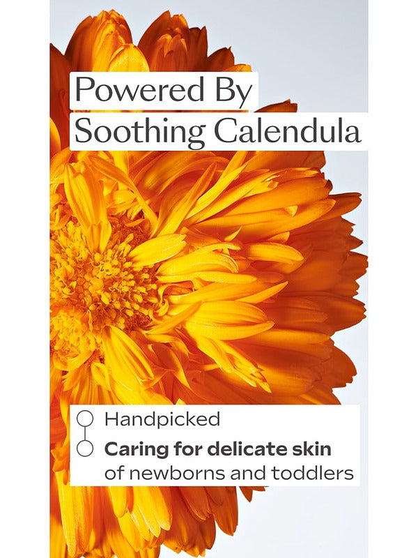 Close-up calendula flower graphic for Weleda Calendula Baby Body Cream, with callouts explaining that the calendula is handpicked and cares for delicate newborn and toddler skin.