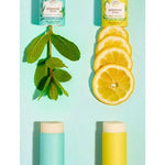 Deodorant Stick Citrus-Bergamot and Eucalyptus-Peppermint opened with peppermint leaves and slices of lemon.