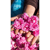 Hands full of rose flowers